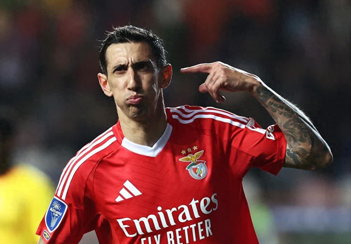 开云入口-离谱！转折点本菲卡绝杀压哨赛后多伦多猛龙备战意甲，冲刺阶段上海久事备战葡超 